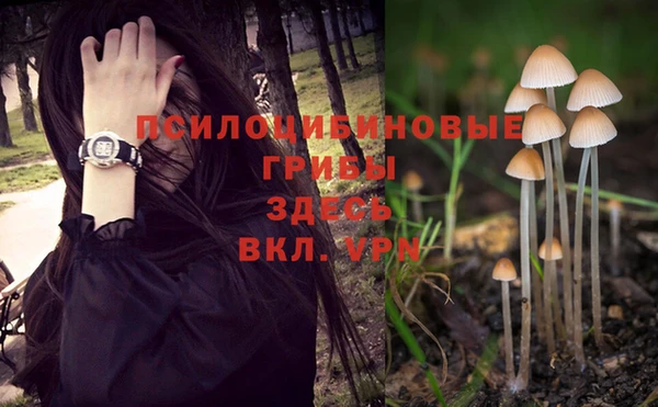 прущая мука Новозыбков