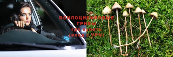 Альфа ПВП Новодвинск